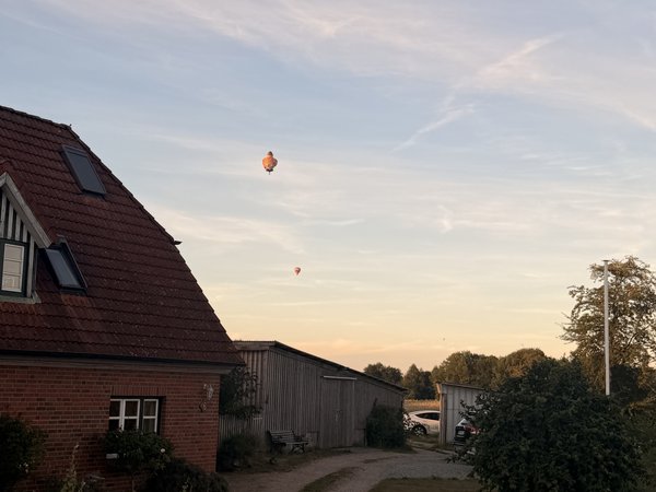 Bild aus der Galerie